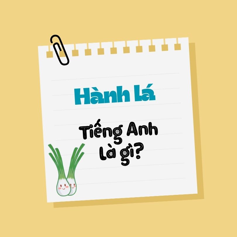 Hành lá tiếng Anh là gì?