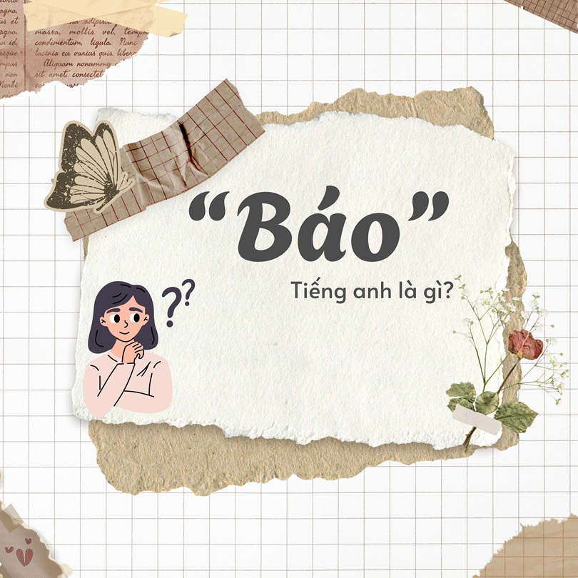 Báo tiếng Anh là gì?