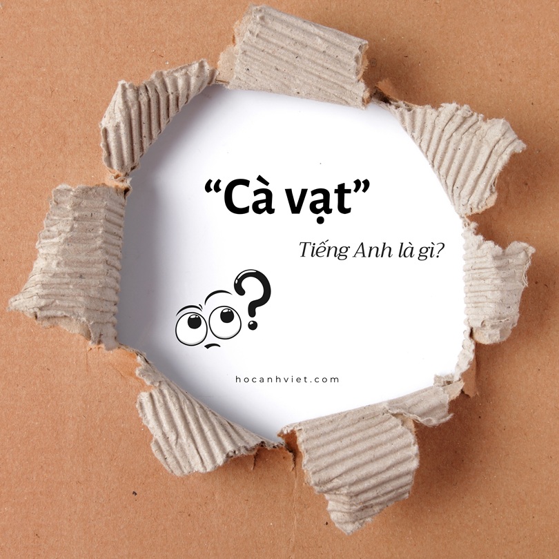 Cà vạt tiếng Anh là gì?