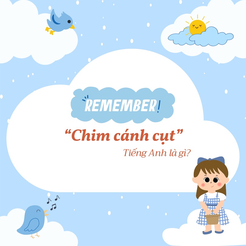 Chim cánh cụt tiếng Anh là gì?
