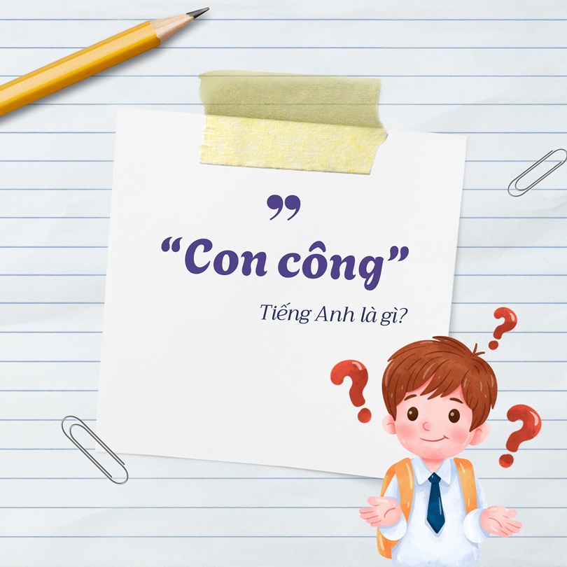 Con công tiếng Anh là gì?