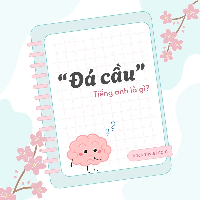 Đá cầu tiếng Anh là gì?