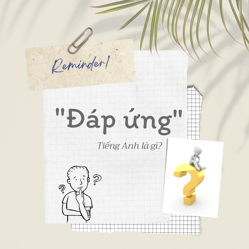 Đáp ứng tiếng Anh là gì?