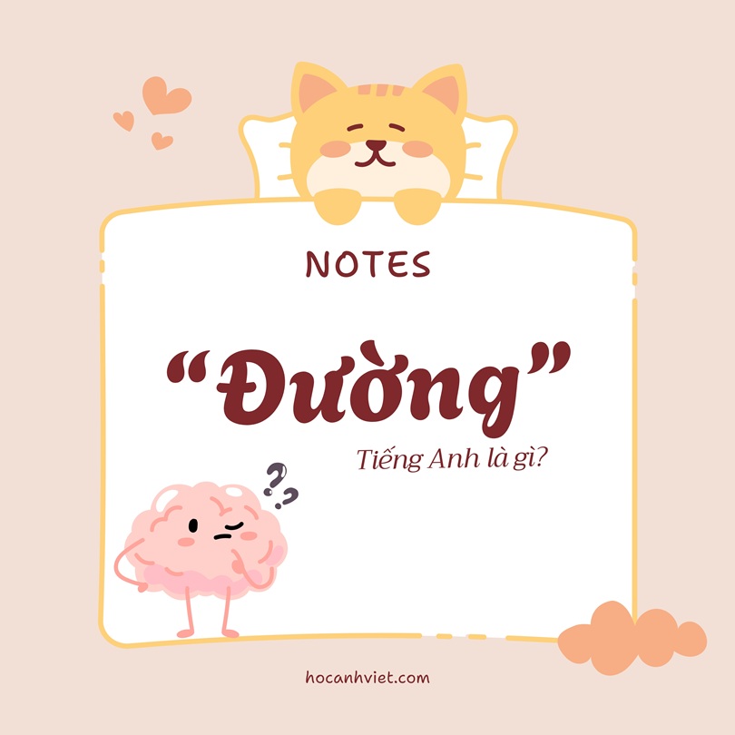 Đường tiếng Anh là gì?