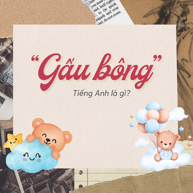 Gấu bông tiếng Anh là gì?