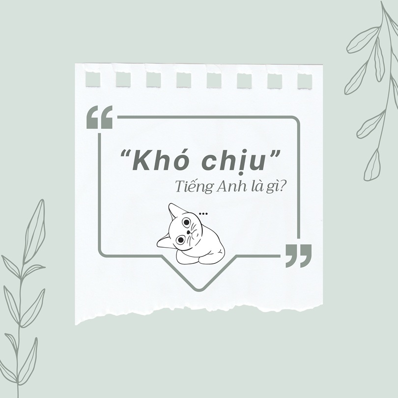 Khó chịu tiếng Anh là gì?
