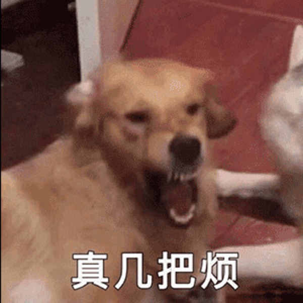 Khó chịu vô cùng meme 26