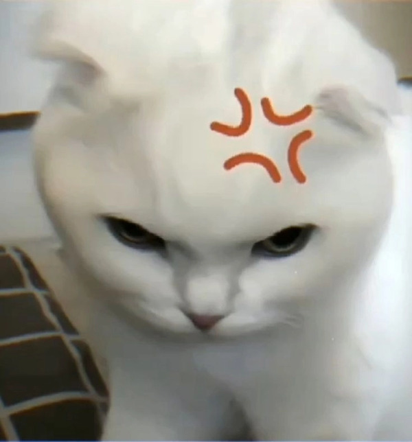 Khó chịu vô cùng meme 33