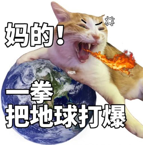 Khó chịu vô cùng meme 37