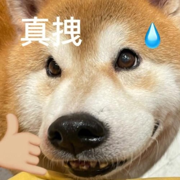 Khó chịu vô cùng meme 38