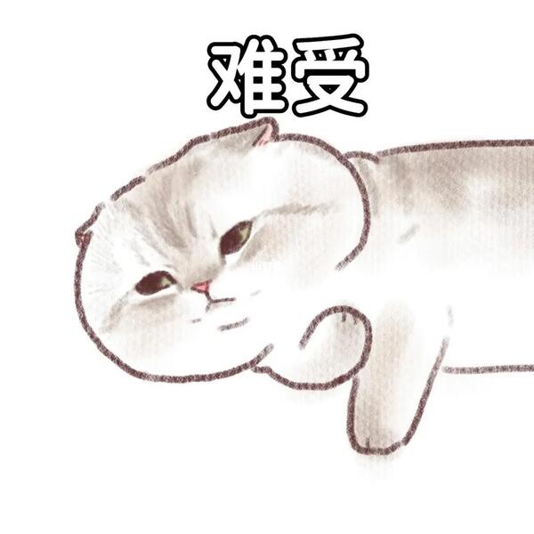 Khó chịu vô cùng meme 6