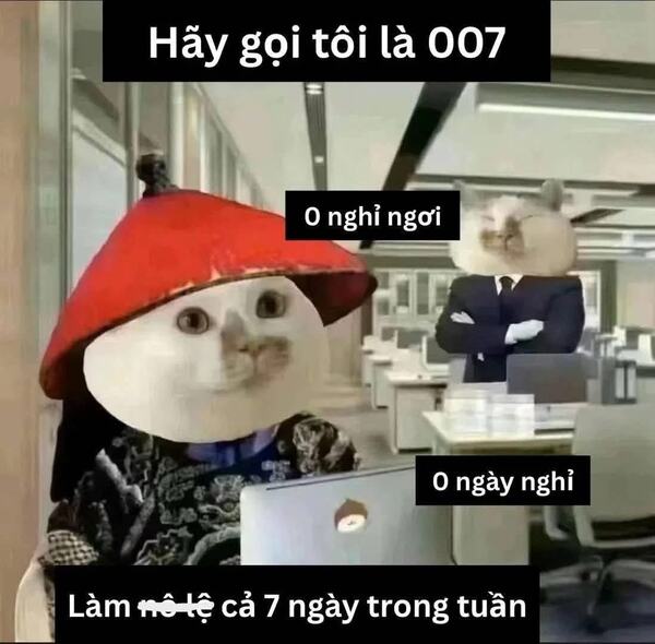 Meme đi làm 5