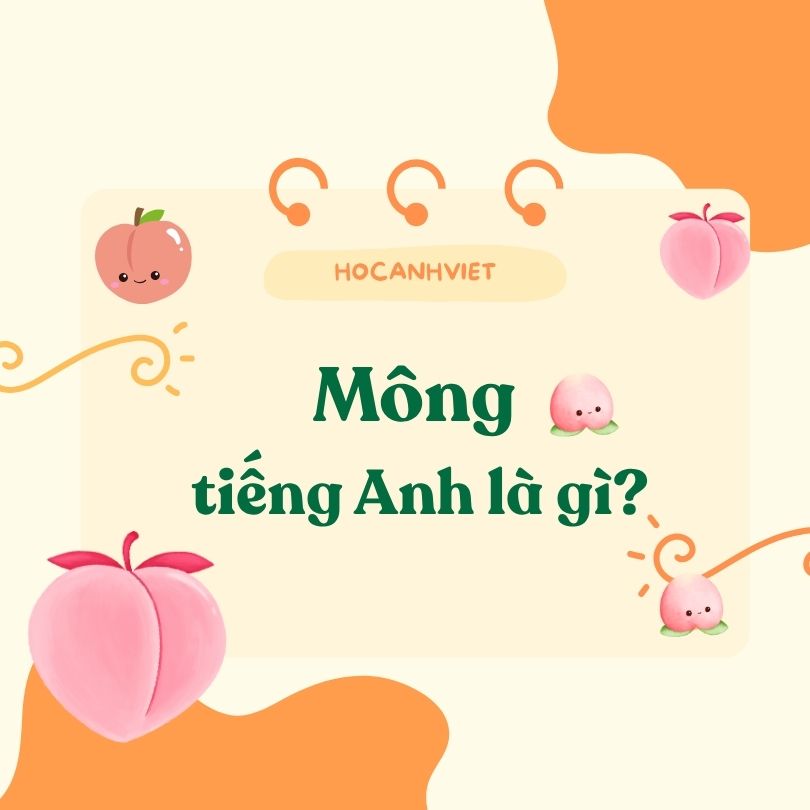 Mông tiếng Anh là gì?