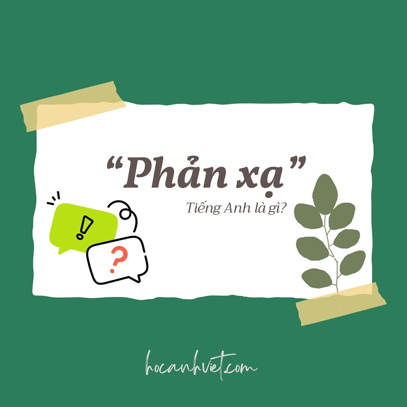 Phản xạ tiếng Anh là gì?