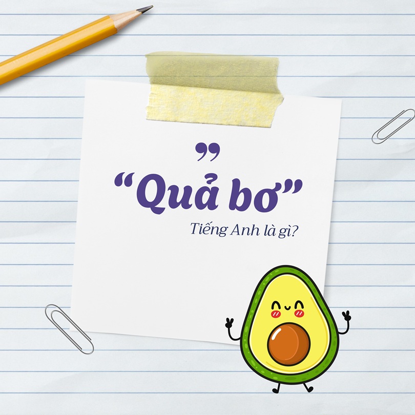 Quả bơ tiếng Anh là gì?