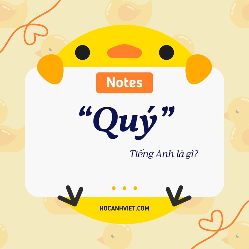 Quý tiếng Anh là gì?
