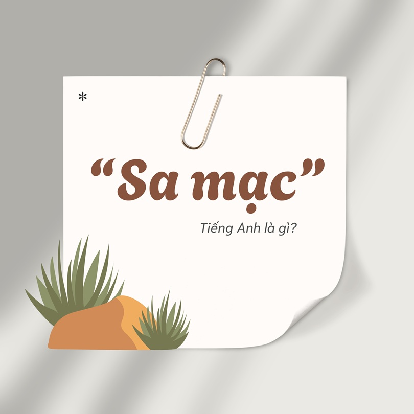 Sa mạc tiếng Anh là gì?