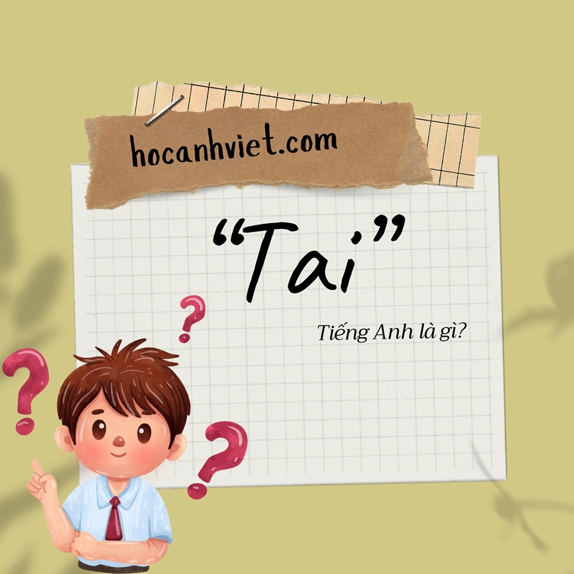 Tai tiếng Anh là gì?