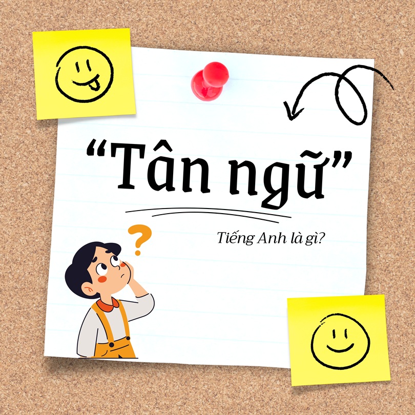 Tân ngữ tiếng Anh là gì?