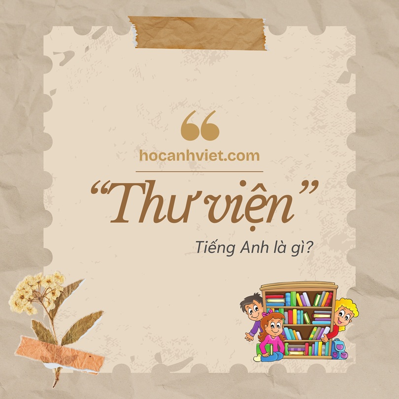 Thư viện tiếng Anh là gì?