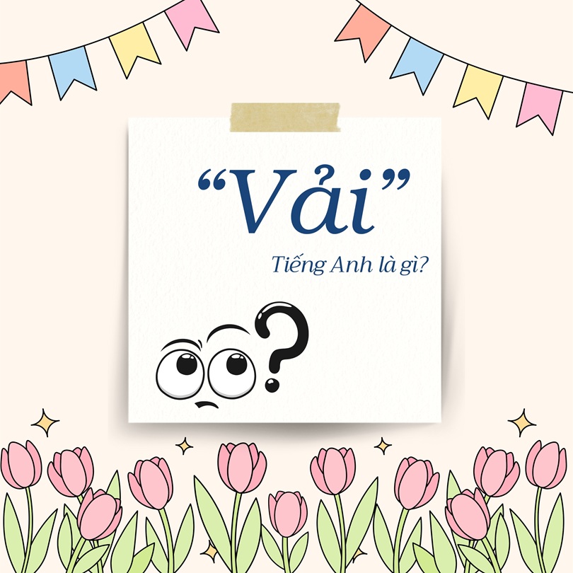 Vải tiếng Anh là gì?
