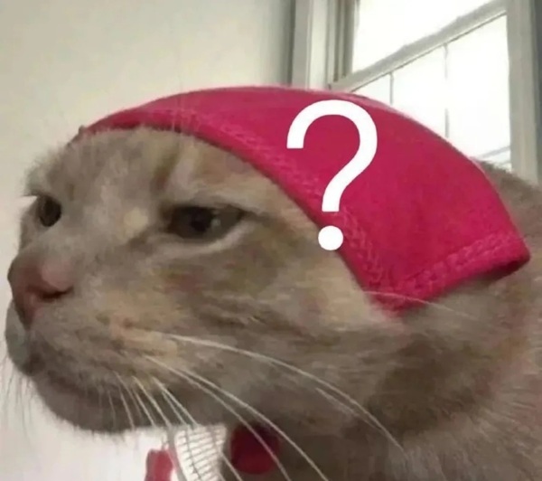 Chấm hỏi meme 30