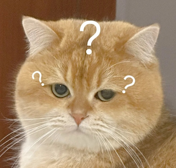 Chấm hỏi meme 33