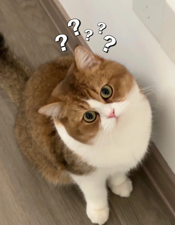 Chấm hỏi meme 34