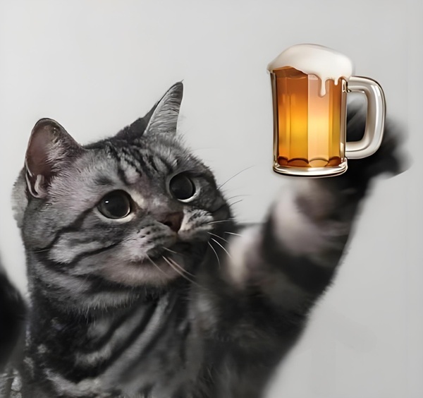 Mãi là anh em meme 13