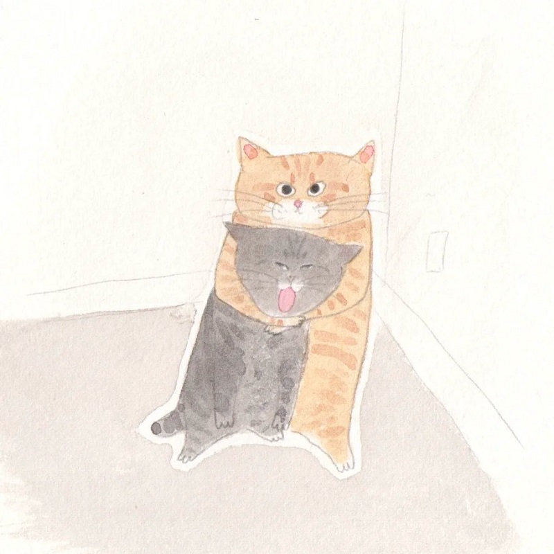 Meme mèo nhỏ bị bóp cổ nhẹ, mặt buồn cười không tả được.