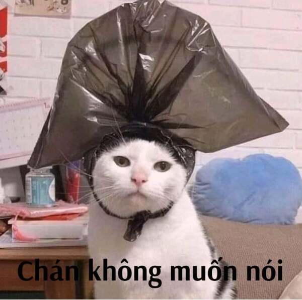 Meme cạn lời 10