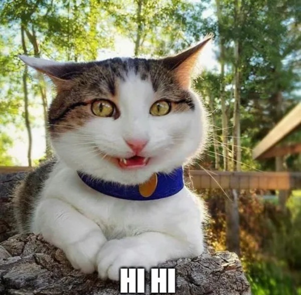 Meme hihi 1