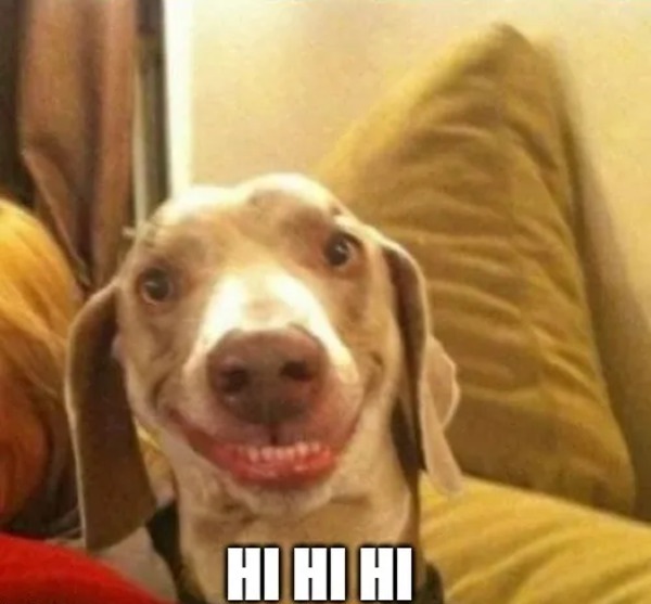 Meme hihi 5