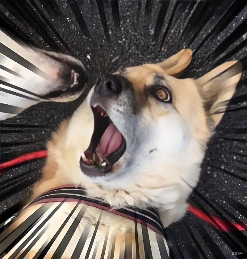 Chó gào rú như thấy bóng ma bay ngang.