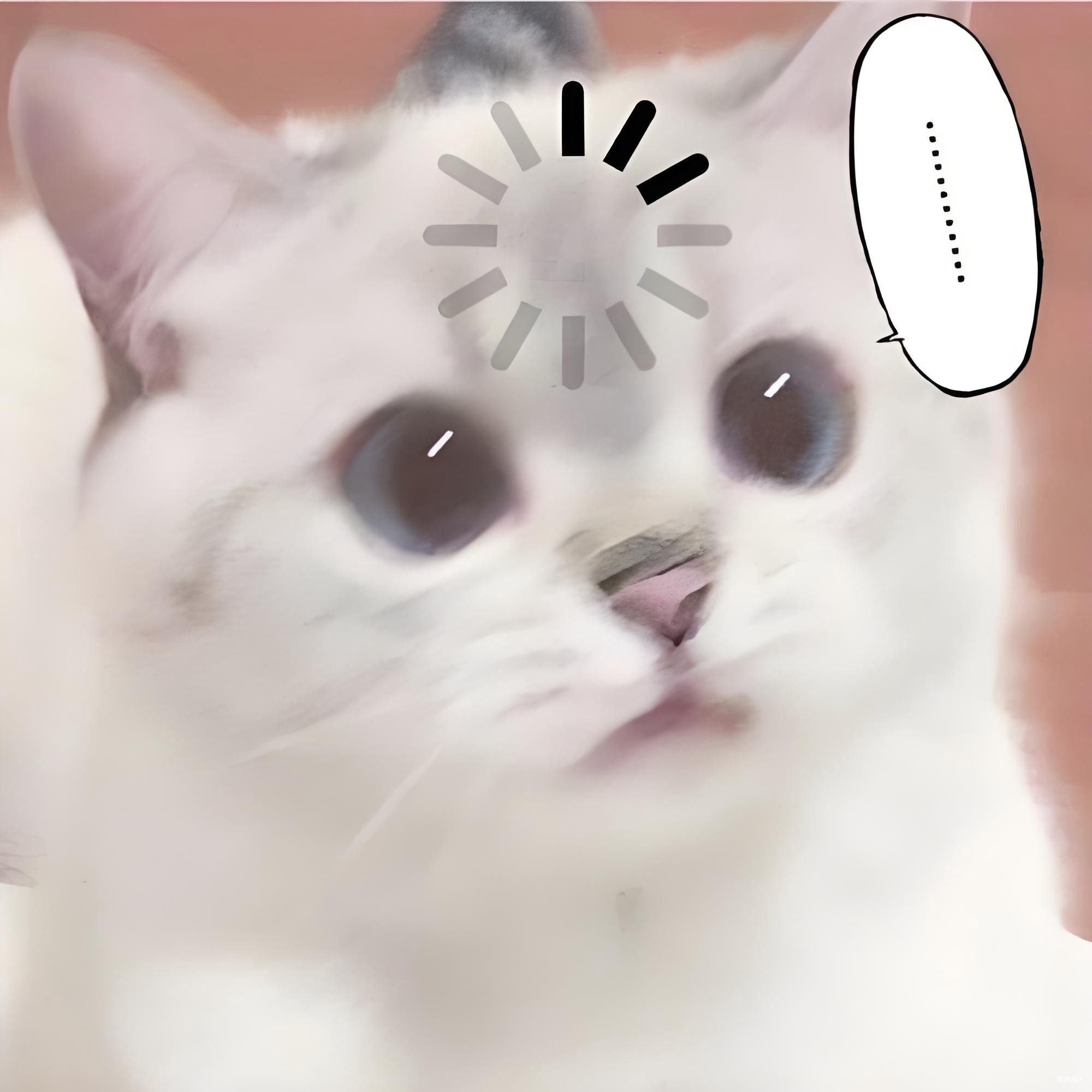 Mèo trắng trợn mắt vì thanh loading chạy quá lâu.