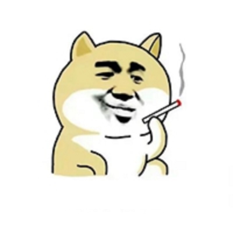 Chú chó nhỏ đứng thẳng chỉ tay với biểu cảm chất vấn.