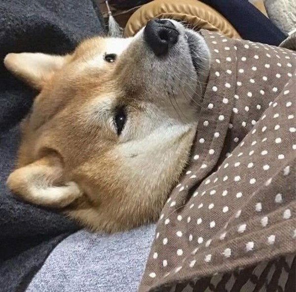 Meme nghiêm túc 14