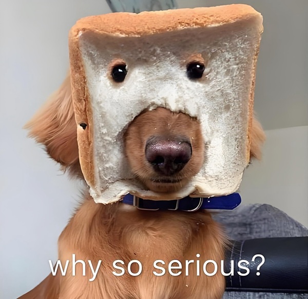 Meme nghiêm túc 21