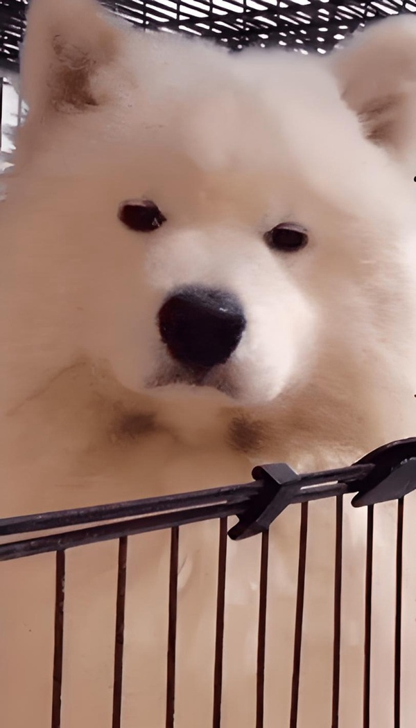 Meme nghiêm túc 24