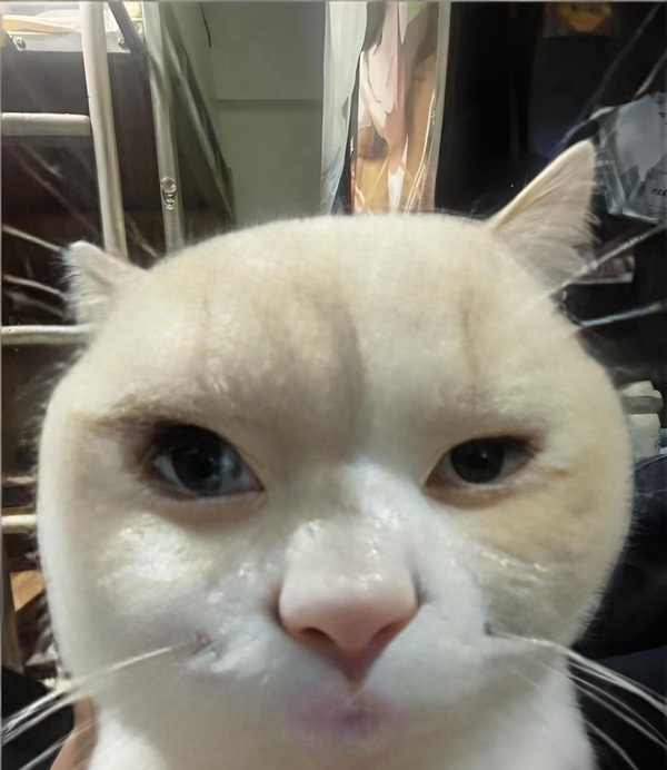 Meme nghiêm túc 25