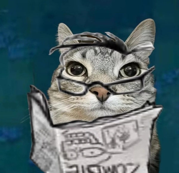 Meme nghiêm túc 29