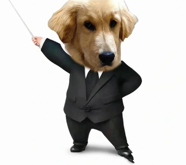 Meme nghiêm túc 32