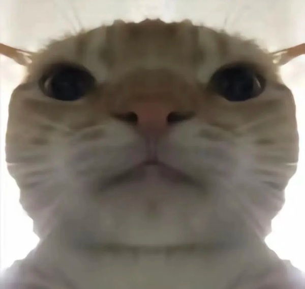 Meme nghiêm túc 34