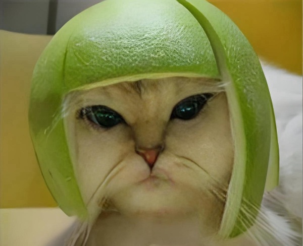 Meme nghiêm túc 40