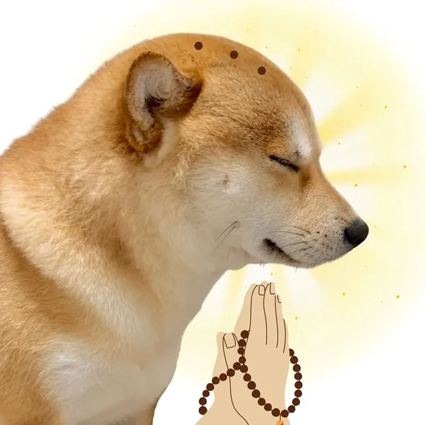 Meme niệm Phật 40