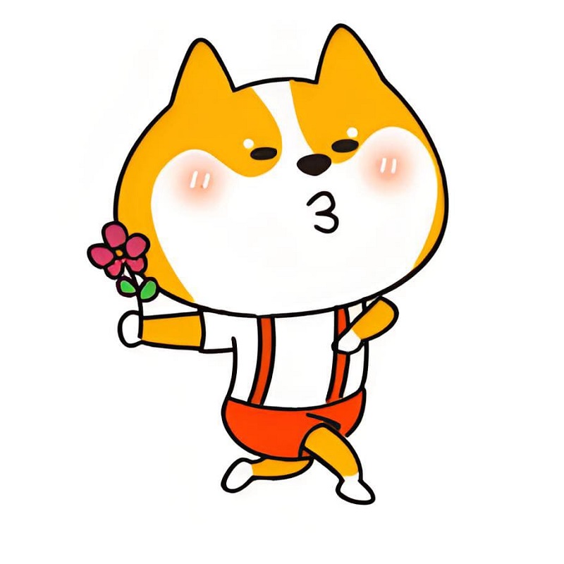 Chó shiba cầm hoa, mặt tự hào như vừa tặng xong crush.