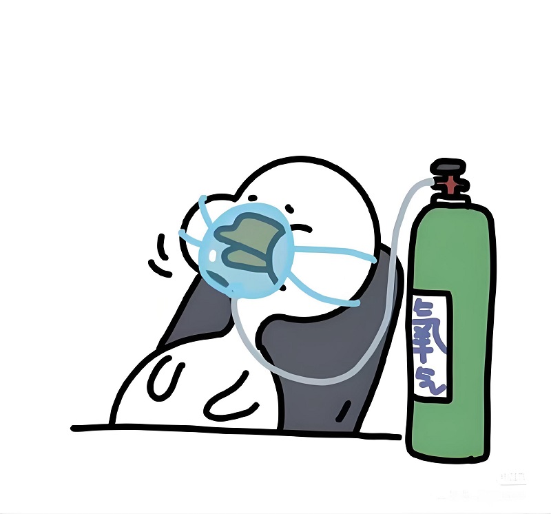 Meme vịt nằm thở oxy, biểu cảm cạn lời vì drama quá căng.