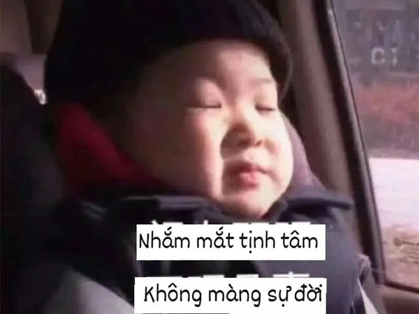Meme tịnh tâm 19