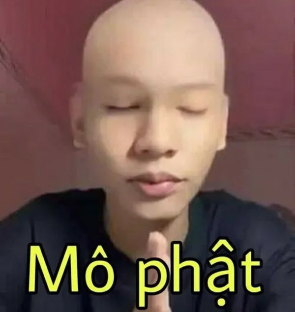 Meme tịnh tâm 38