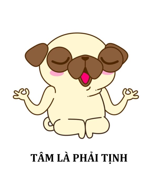 Meme tịnh tâm 8
